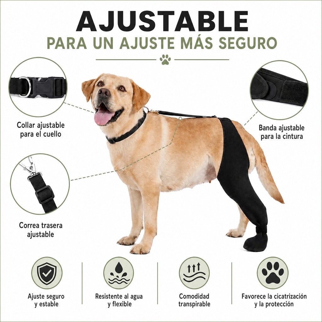 Funda ajustable para pata trasera de perro con cobertura de pata Ayuda a limitar el lamido durante el descanso tras la c