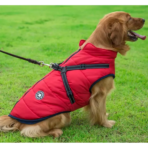 Abrigo de Invierno 3 en 1 para Perros con Arnés | Acolchado, Impermeable y Cortaviento