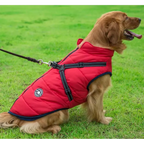 Abrigo de Invierno 3 en 1 para Perros con Arnés | Acolchado, Impermeable y Cortaviento