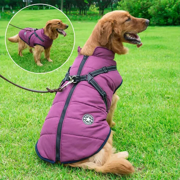 Abrigo de Invierno 3 en 1 para Perros con Arnés | Acolchado, Impermeable y Cortaviento