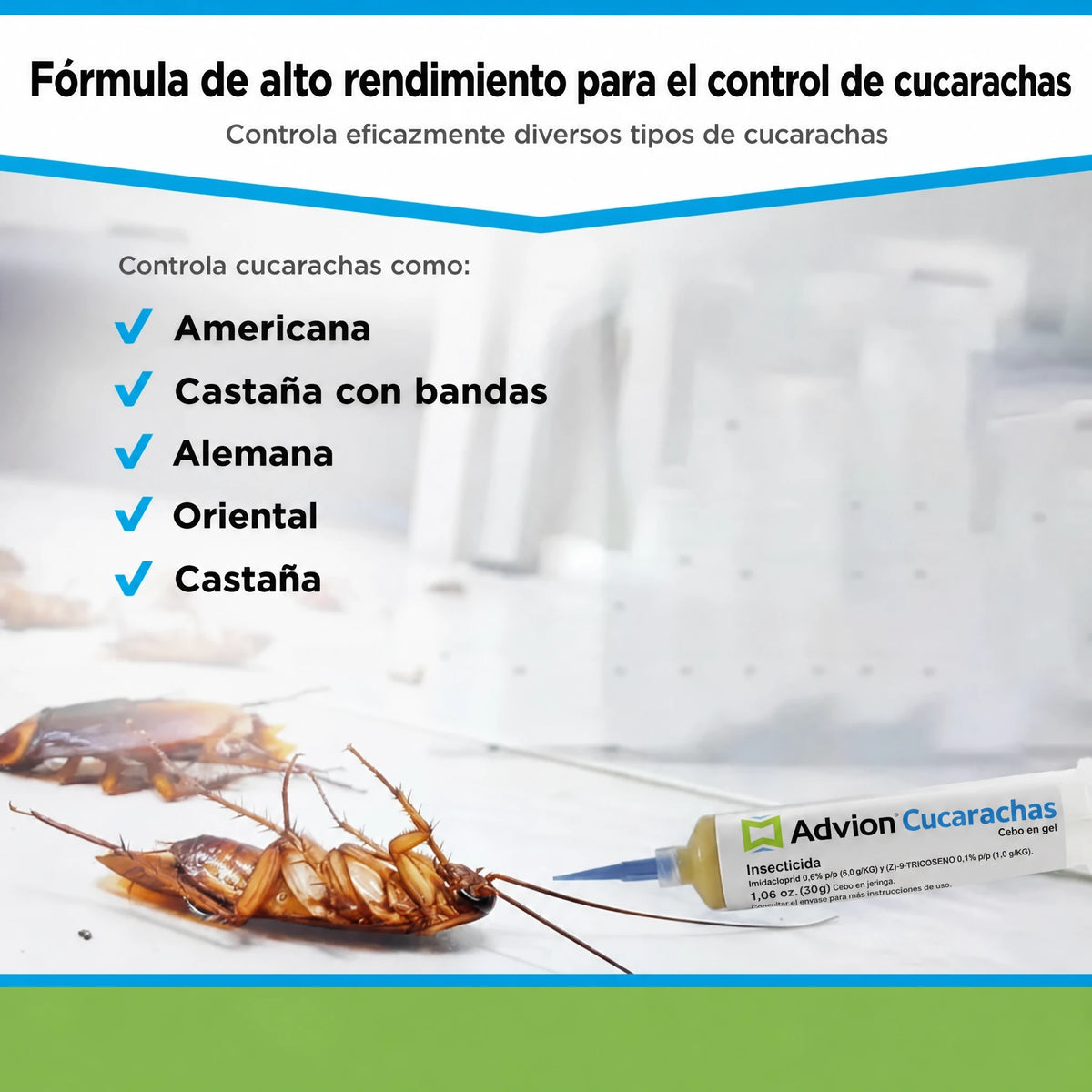 Jeringa de gel para control de plagas en interiores Eliminación de cucarachas