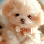 Juguete de peluche interactivo para perro, cachorro suave realista con movimiento