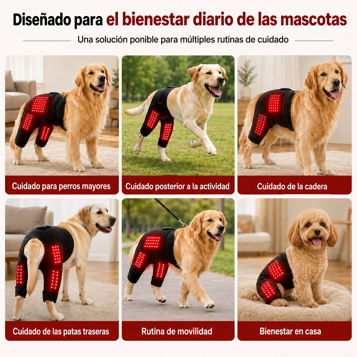 Manga de terapia de luz roja portátil para perros, para el cuidado en casa de la zona lumbar y patas traseras/caderas.