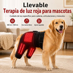 Manga de terapia de luz roja portátil para perros, para el cuidado en casa de la zona lumbar y patas traseras/caderas.