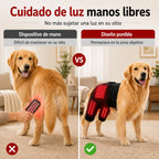 Manga de terapia de luz roja portátil para perros, para el cuidado en casa de la zona lumbar y patas traseras/caderas.