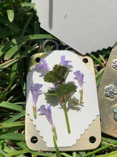 Mini Flower Press | Prensa de flores mini | Creador compacto de recuerdos botánicos | Herramienta de manualidades portát