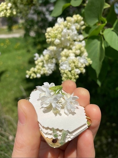 Mini Flower Press | Prensa de flores mini | Creador compacto de recuerdos botánicos | Herramienta de manualidades portát