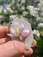 Mini Flower Press | Prensa de flores mini | Creador compacto de recuerdos botánicos | Herramienta de manualidades portát