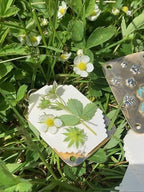 Mini Flower Press | Prensa de flores mini | Creador compacto de recuerdos botánicos | Herramienta de manualidades portát