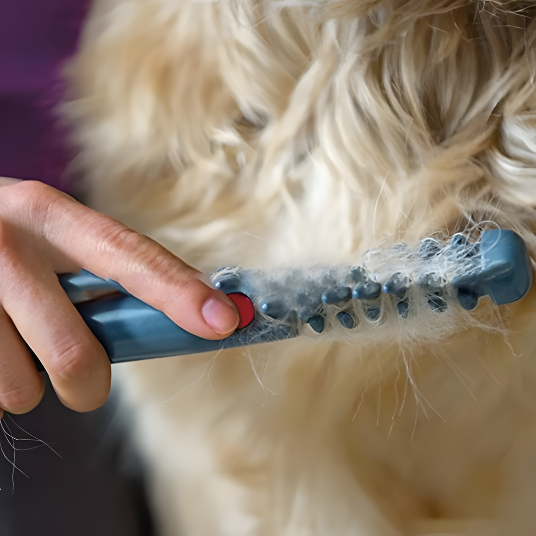No más nudos ni enredos para tu mascota