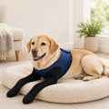 PawGuard mangas de recuperación dobles para patas delanteras de perros - Protección antilamidos sin cono para postcirugí