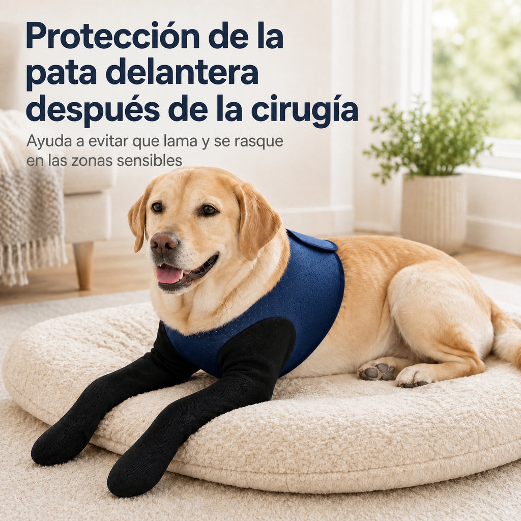 PawGuard mangas de recuperación dobles para patas delanteras de perros - Protección antilamidos sin cono para postcirugí