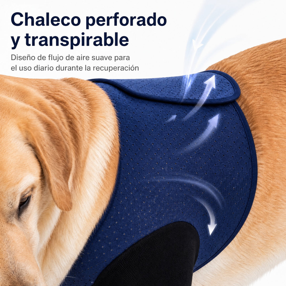 PawGuard mangas de recuperación dobles para patas delanteras de perros - Protección antilamidos sin cono para postcirugí