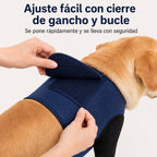 PawGuard mangas de recuperación dobles para patas delanteras de perros - Protección antilamidos sin cono para postcirugí
