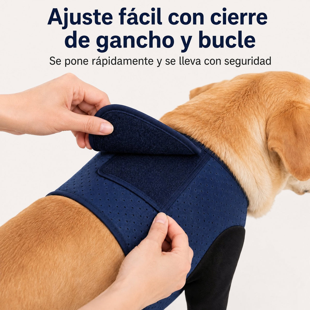 PawGuard mangas de recuperación dobles para patas delanteras de perros - Protección antilamidos sin cono para postcirugí