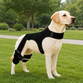 RearGuard Dog Rear Leg Support Brace - Férula de soporte para patas traseras de perro antideslizante para estabilidad en
