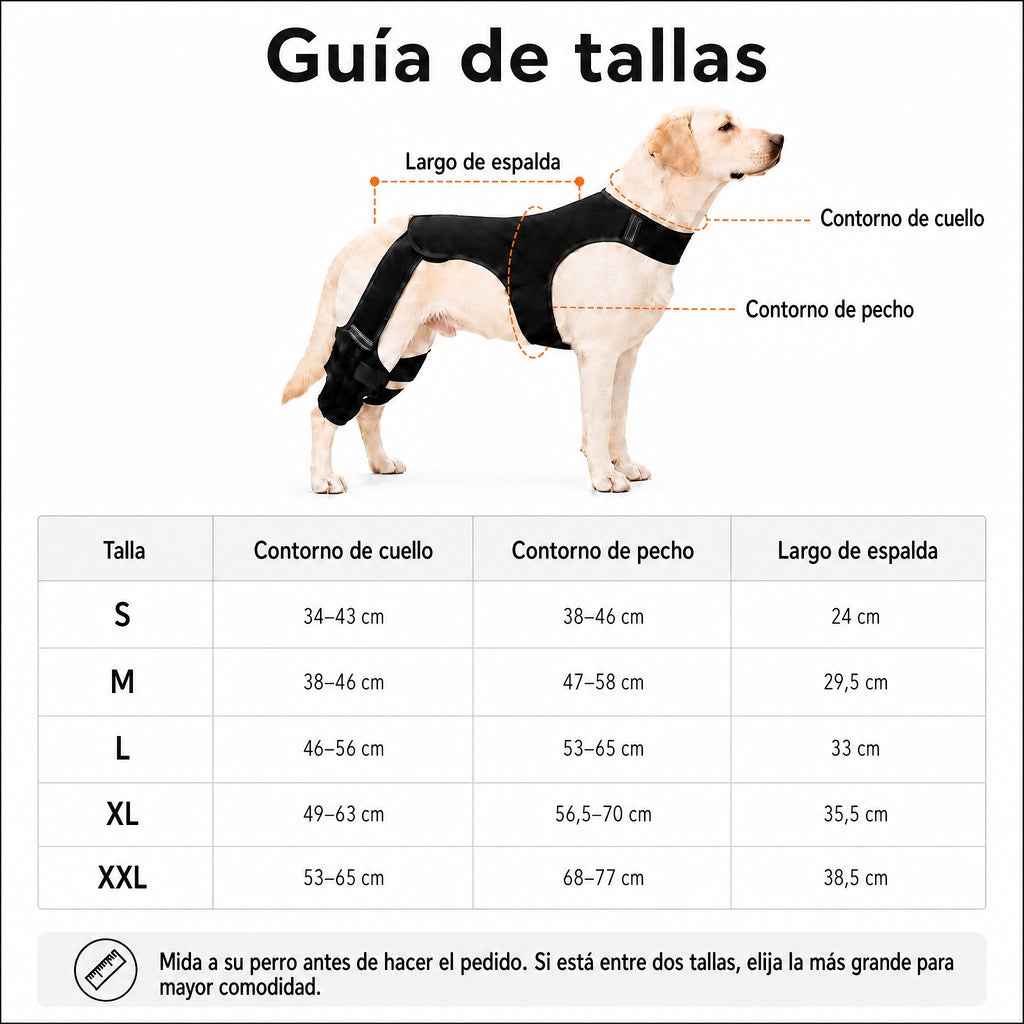 RearGuard Dog Rear Leg Support Brace - Férula de soporte para patas traseras de perro antideslizante para estabilidad en