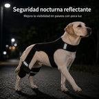 RearGuard Dog Rear Leg Support Brace - Férula de soporte para patas traseras de perro antideslizante para estabilidad en