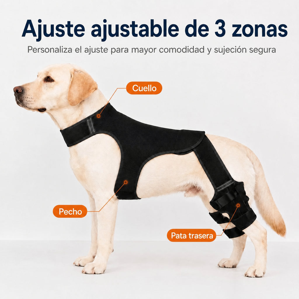 RearGuard Dog Rear Leg Support Brace - Férula de soporte para patas traseras de perro antideslizante para estabilidad en