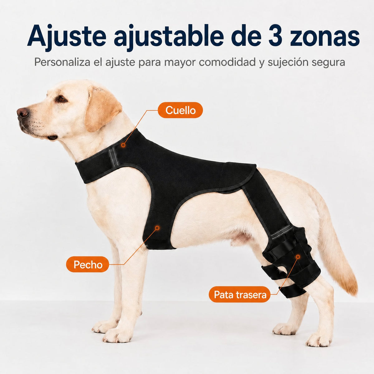 RearGuard Dog Rear Leg Support Brace - Férula de soporte para patas traseras de perro antideslizante para estabilidad en