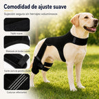 RearGuard Dog Rear Leg Support Brace - Férula de soporte para patas traseras de perro antideslizante para estabilidad en