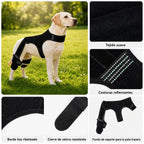 RearGuard Dog Rear Leg Support Brace - Férula de soporte para patas traseras de perro antideslizante para estabilidad en