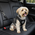 Arnés de seguridad para coche de malla transpirable ajustable para perros
