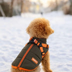 Chaqueta de invierno impermeable para perros – Suave y cómoda