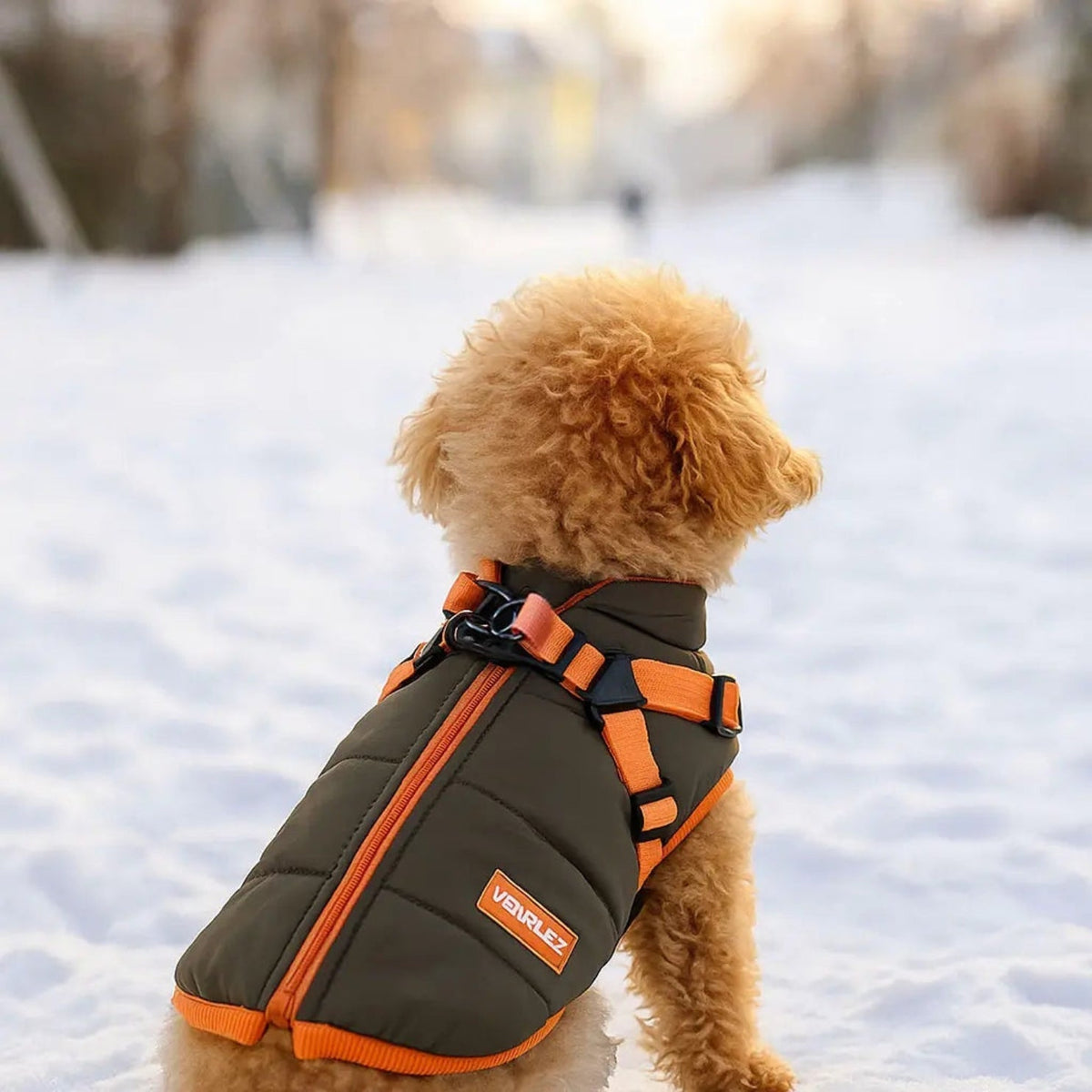 Chaqueta de invierno impermeable para perros – Suave y cómoda