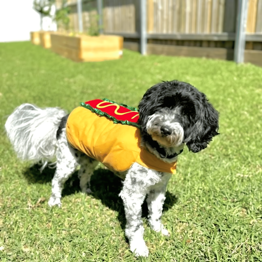 Disfraz de perrito caliente para perros, traje de Halloween de una pieza con correas ajustables de velcro, tallas XS a 2