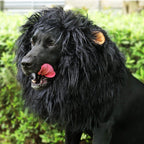 Disfraz de melena de león para perros en Halloween, melena de león de peluche con orejas para perros medianos y grandes,