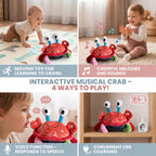 Juguete Interactivo de Cangrejo Musical con Función de Voz