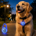 Luz LED de seguridad recargable con clip para perros en paseos nocturnos