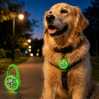 Luz LED de seguridad recargable con clip para perros en paseos nocturnos