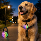 Luz LED de seguridad recargable con clip para perros en paseos nocturnos