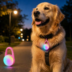 Luz LED de seguridad recargable con clip para perros en paseos nocturnos