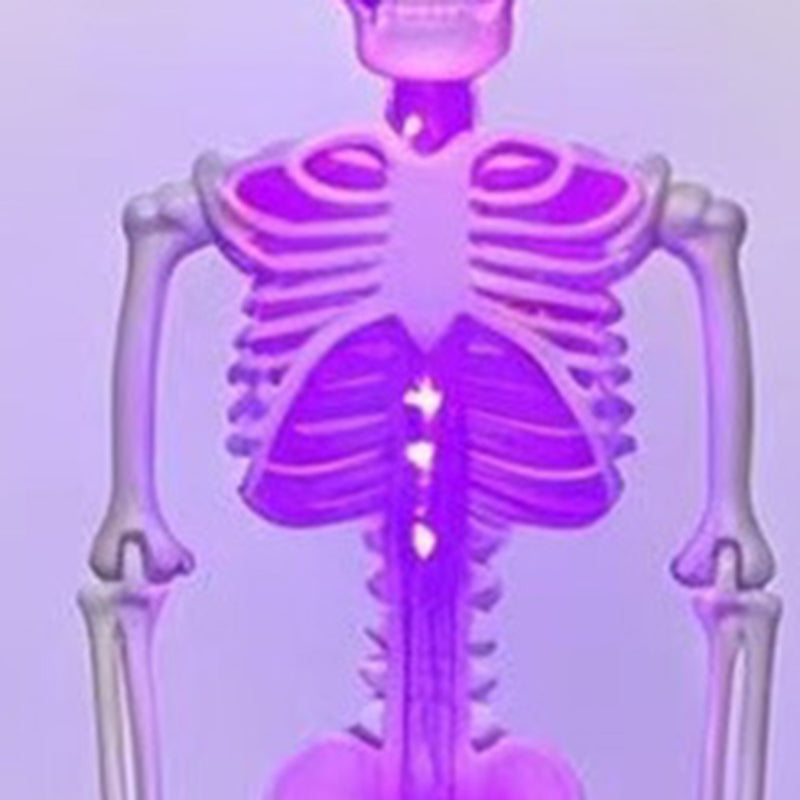 Luz solar de estaca esqueleto de Halloween impermeable LED para exterior lámpara de suelo de plástico para decoración de