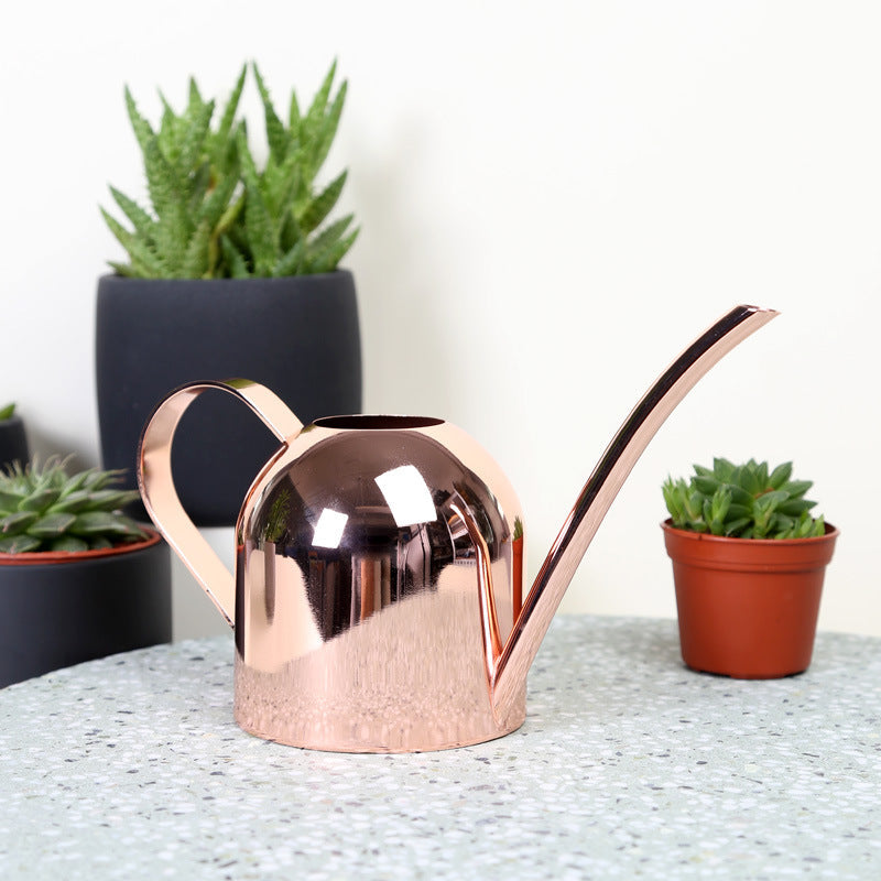 Regadera de cobre premium