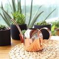 Regadera de cobre premium