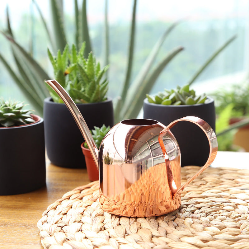 Regadera de cobre premium