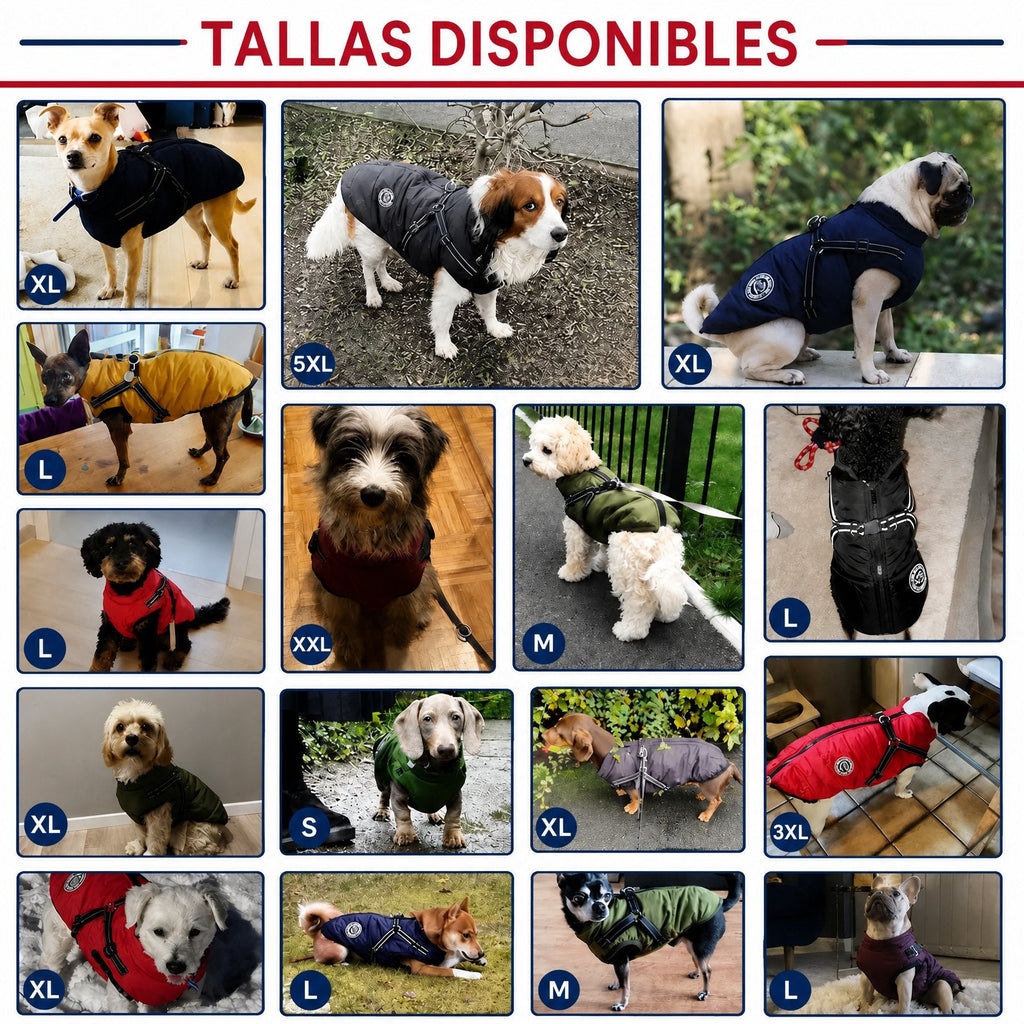 Abrigo de Invierno 3 en 1 para Perros con Arnés | Acolchado, Impermeable y Cortaviento