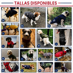Abrigo de Invierno 3 en 1 para Perros con Arnés | Acolchado, Impermeable y Cortaviento