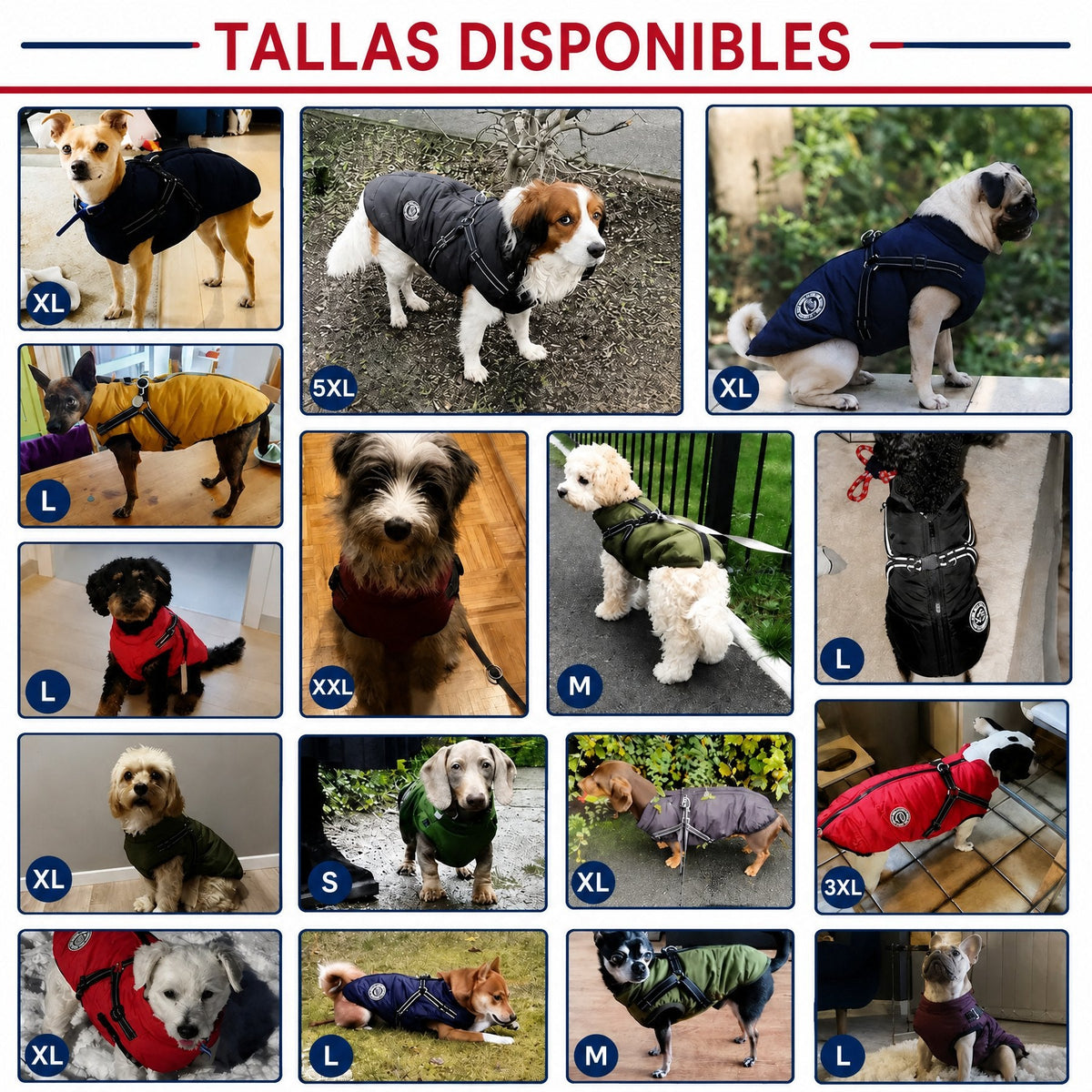 Abrigo de Invierno 3 en 1 para Perros con Arnés | Acolchado, Impermeable y Cortaviento